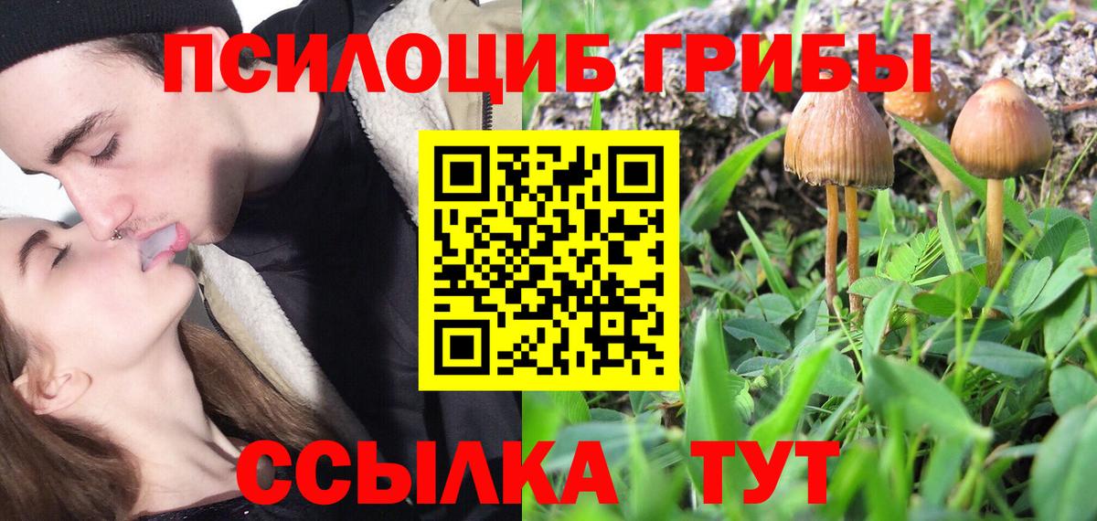 Майский  Псилоцибиновые грибы прущие грибы  Вход с VPN 